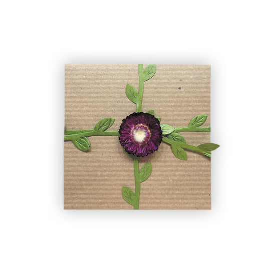 Scent Gift Box